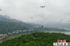 (活力中国)屈原故里湖北秭归:科技续写“新
